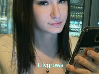 Lilygrows