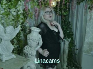 Linacams