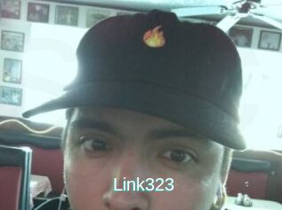 Link323