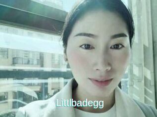 Littlbadegg