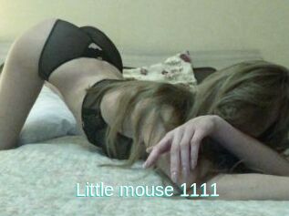 Little_mouse_1111