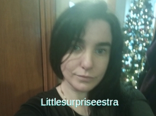 Littlesurpriseestra
