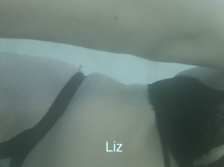 Liz