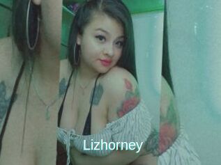 Lizhorney