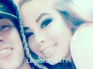 Lovebirds02477