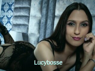 Lucybosse