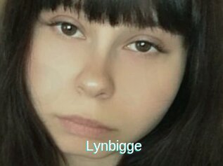 Lynbigge