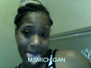 MSMICHIGAN