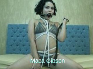 Maca_Gibson