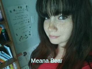 Meana_Bear