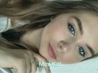 Mini_Kat
