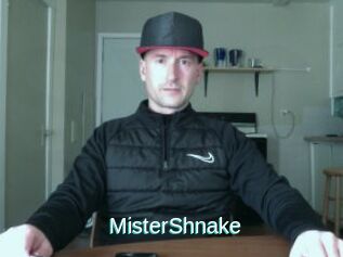 MisterShnake