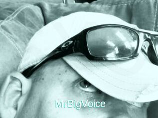 MrBigVoice