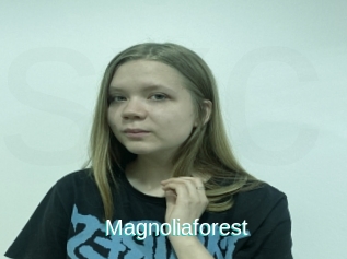 Magnoliaforest
