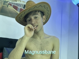Magnussbane