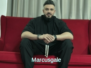 Marcusgale