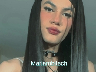 Mariambitech