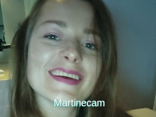 Martinecam