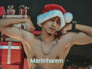 Martinharem