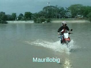 Maurillobig
