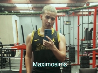 Maximosims