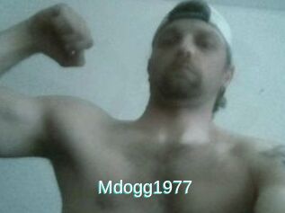 Mdogg1977