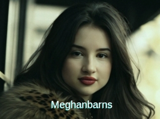 Meghanbarns