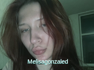 Melisagonzaled