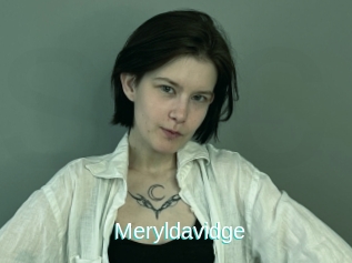 Meryldavidge