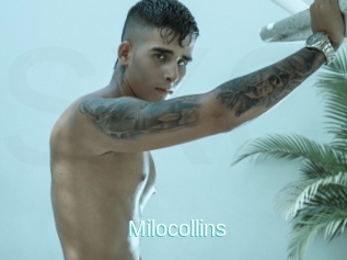 Milocollins