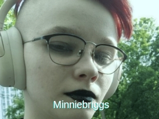 Minniebriggs
