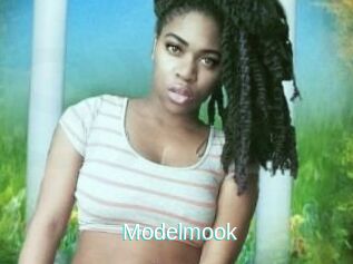 Modelmook