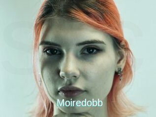 Moiredobb