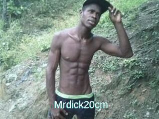 Mrdick20cm