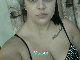 Muisor