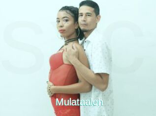 Mulataaleh