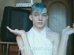 NATHAN_SPARKS