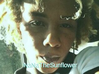 NaNaTheSunflower