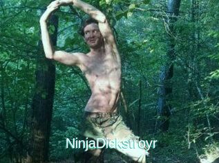 NinjaDickstroyr