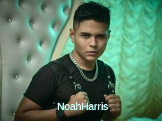 NoahHarris