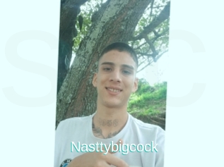 Nasttybigcock