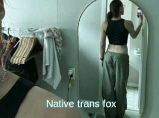Native_trans_fox