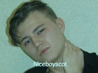 Niceboyscot