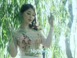 Niyamei