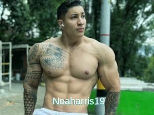 Noaharris19