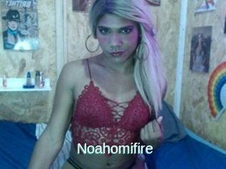 Noahomifire