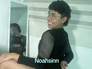 Noahsinn