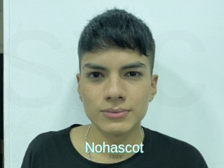 Nohascot