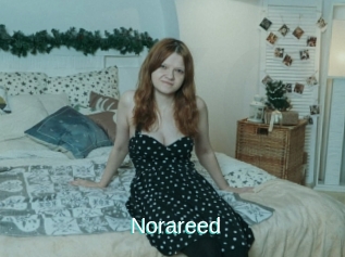Norareed