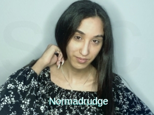 Normadrudge